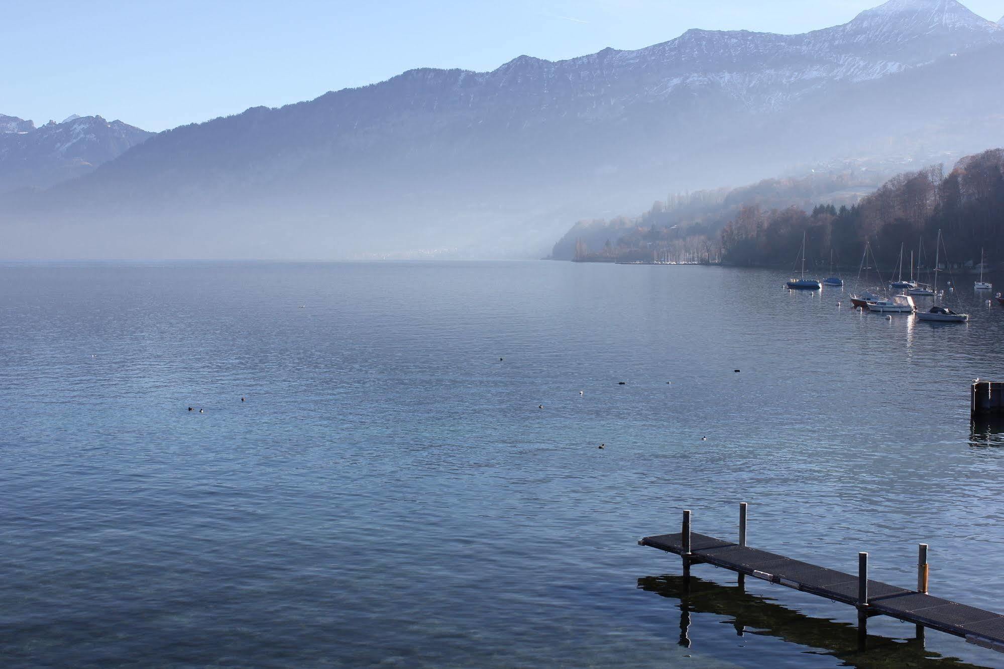 Strandhotel Seeblick Faulensee Dış mekan fotoğraf