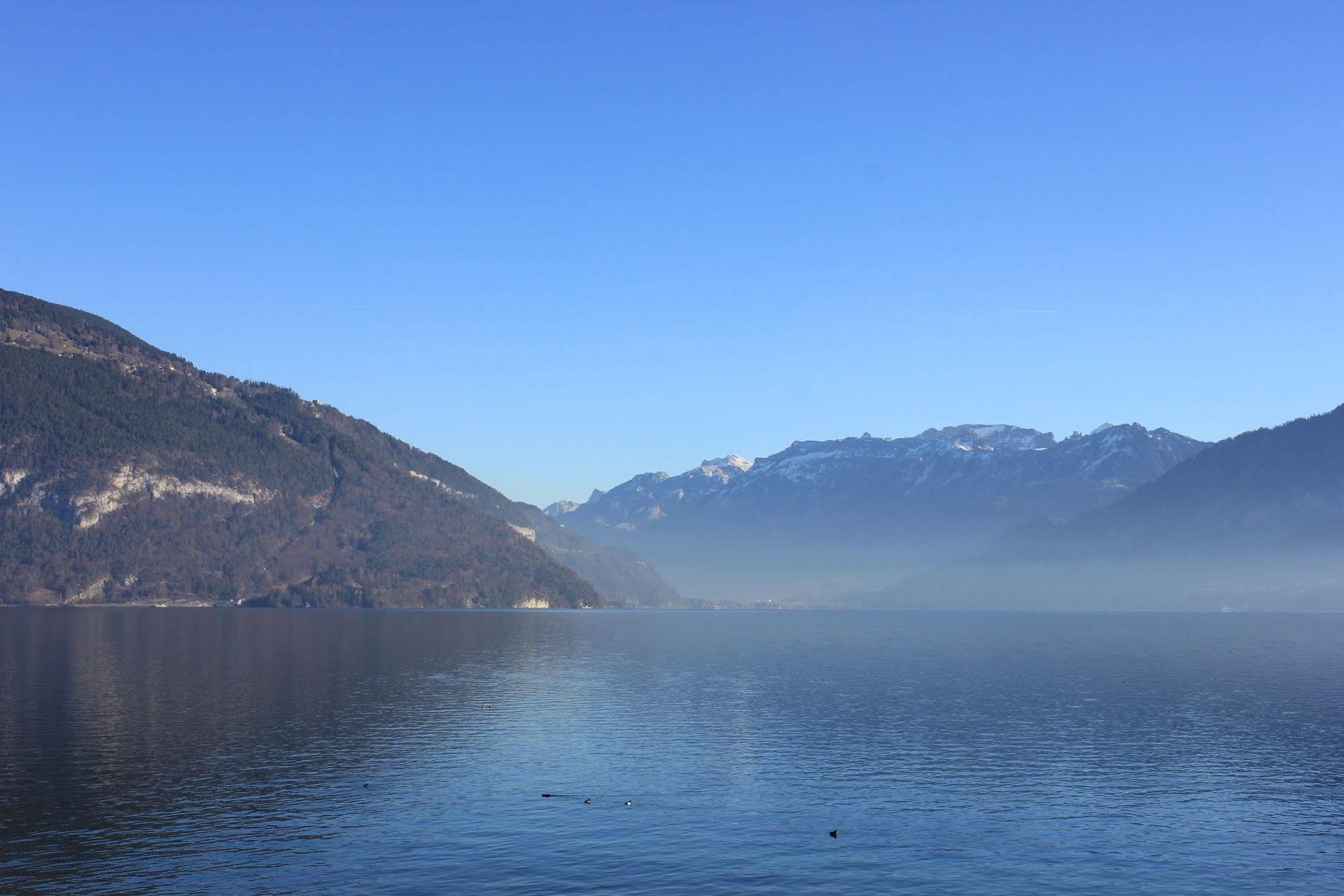 Strandhotel Seeblick Faulensee Dış mekan fotoğraf